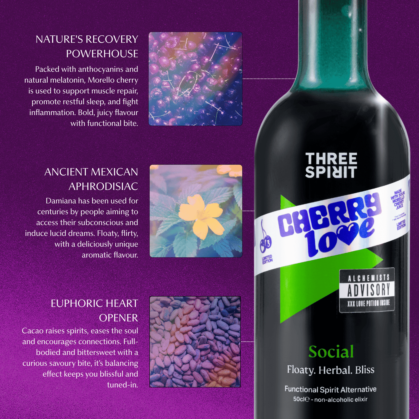 Connect + Chill Kit • LIMITED EDITION