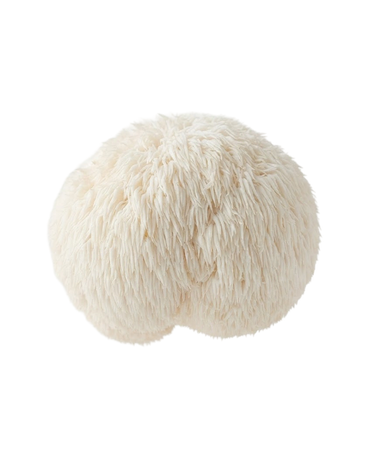 Lion's Mane