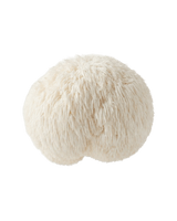 Lion's Mane