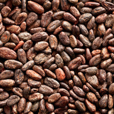Cacao