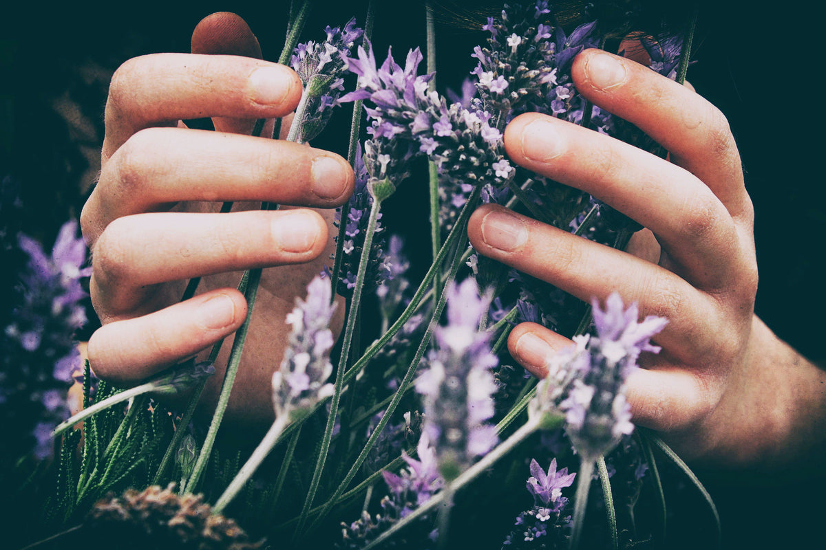 How to create your home healing garden?