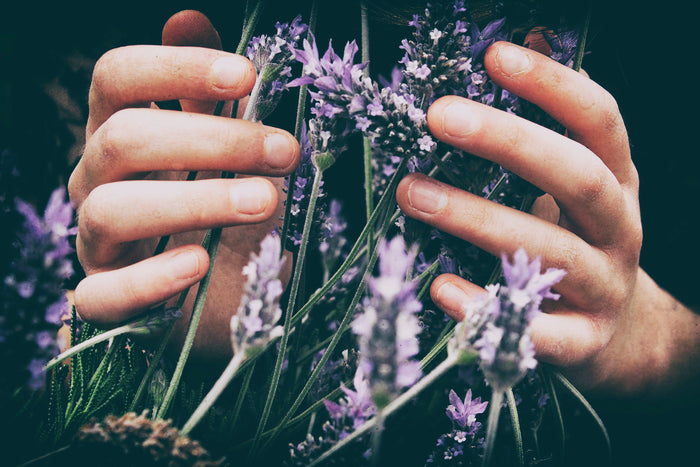 How to create your home healing garden?