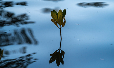 Giving 1% back to our planet