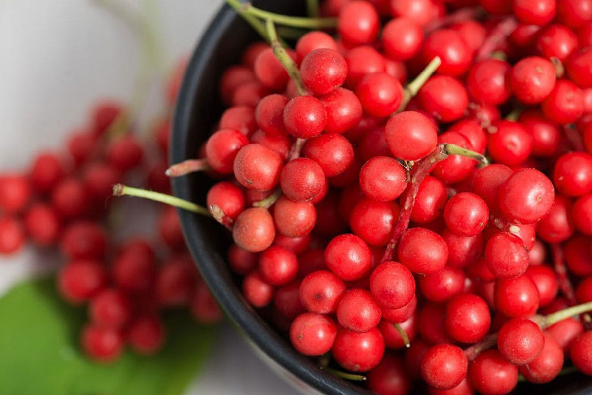 What are adaptogens?