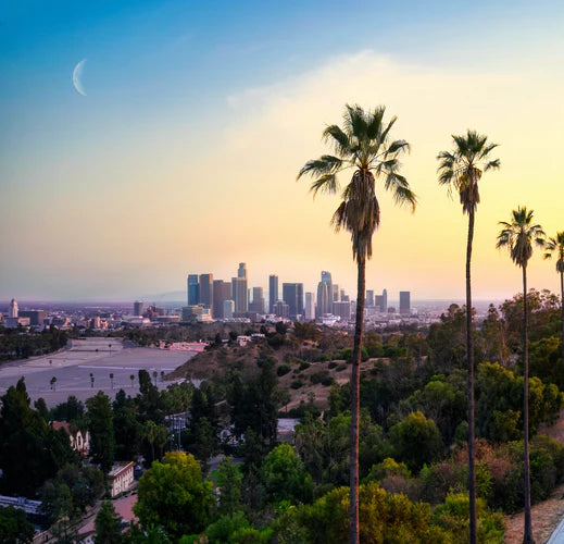 The sober curious guide to California