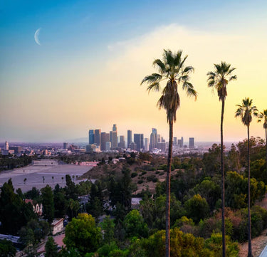 The sober curious guide to California