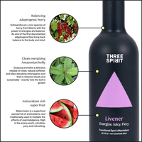 The Alchemist's Selection • Non-Alcoholic Elixirs & Vines