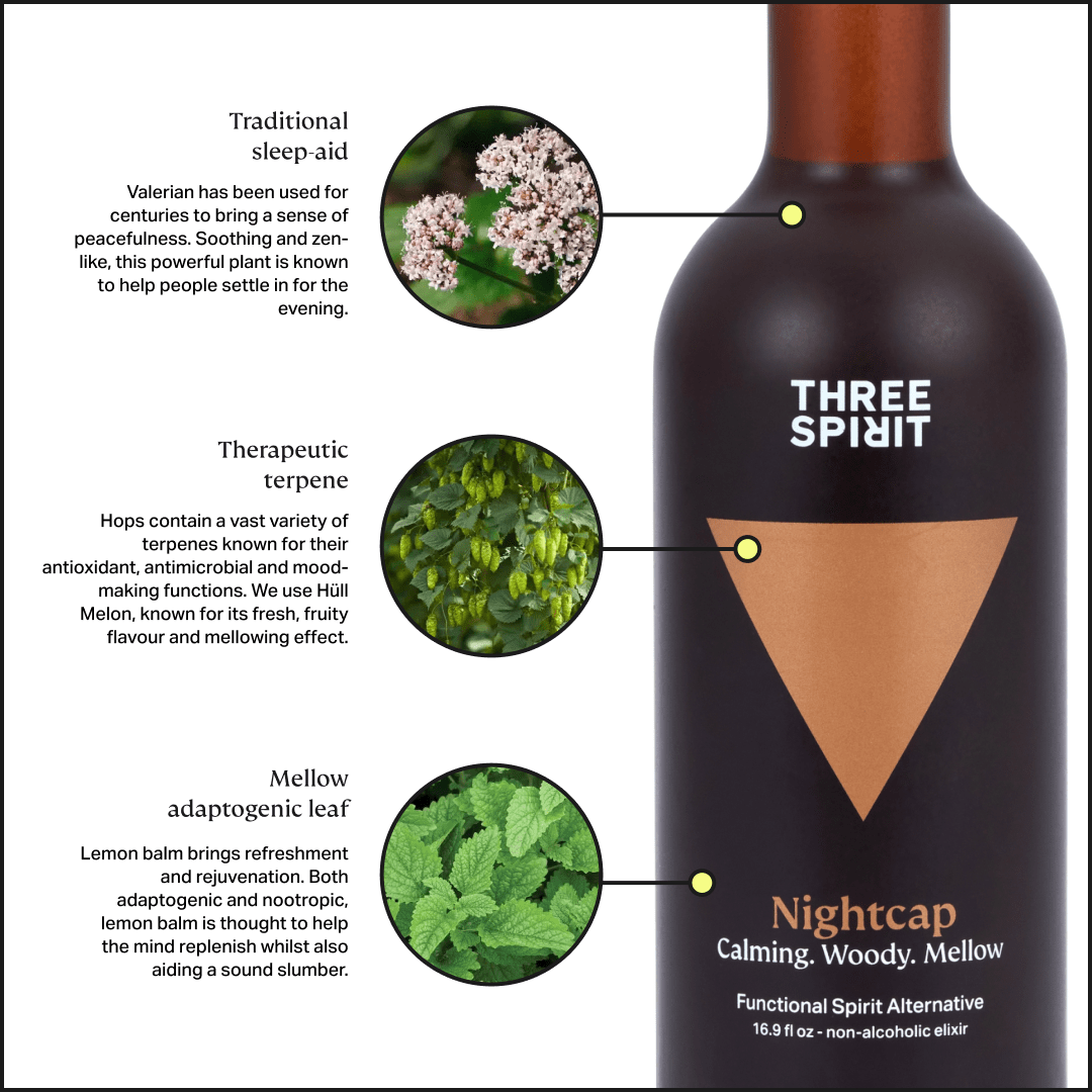 The Alchemist's Selection • Non-Alcoholic Elixirs & Vines