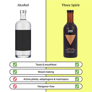 The Nightcap | Non-Alcoholic Drinks | Three Spirit GB – Three Spirit UK