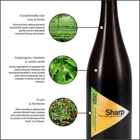 The Alchemist's Selection • Non-Alcoholic Elixirs & Vines