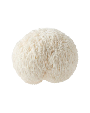 Lion's Mane