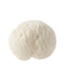 ing lions mane