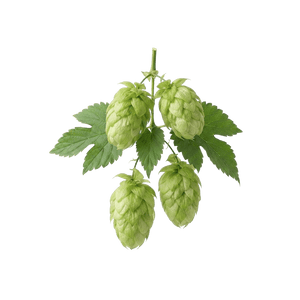 Mosaic Hops